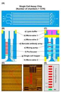 Microfluidic Single-Cell Proteomics Assay Chip: Lung Cancer Cell Line Case Study